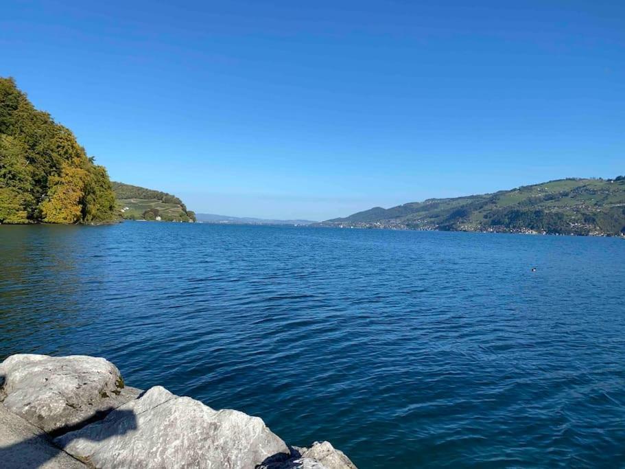 Faulensee See Und Berge Garden מראה חיצוני תמונה